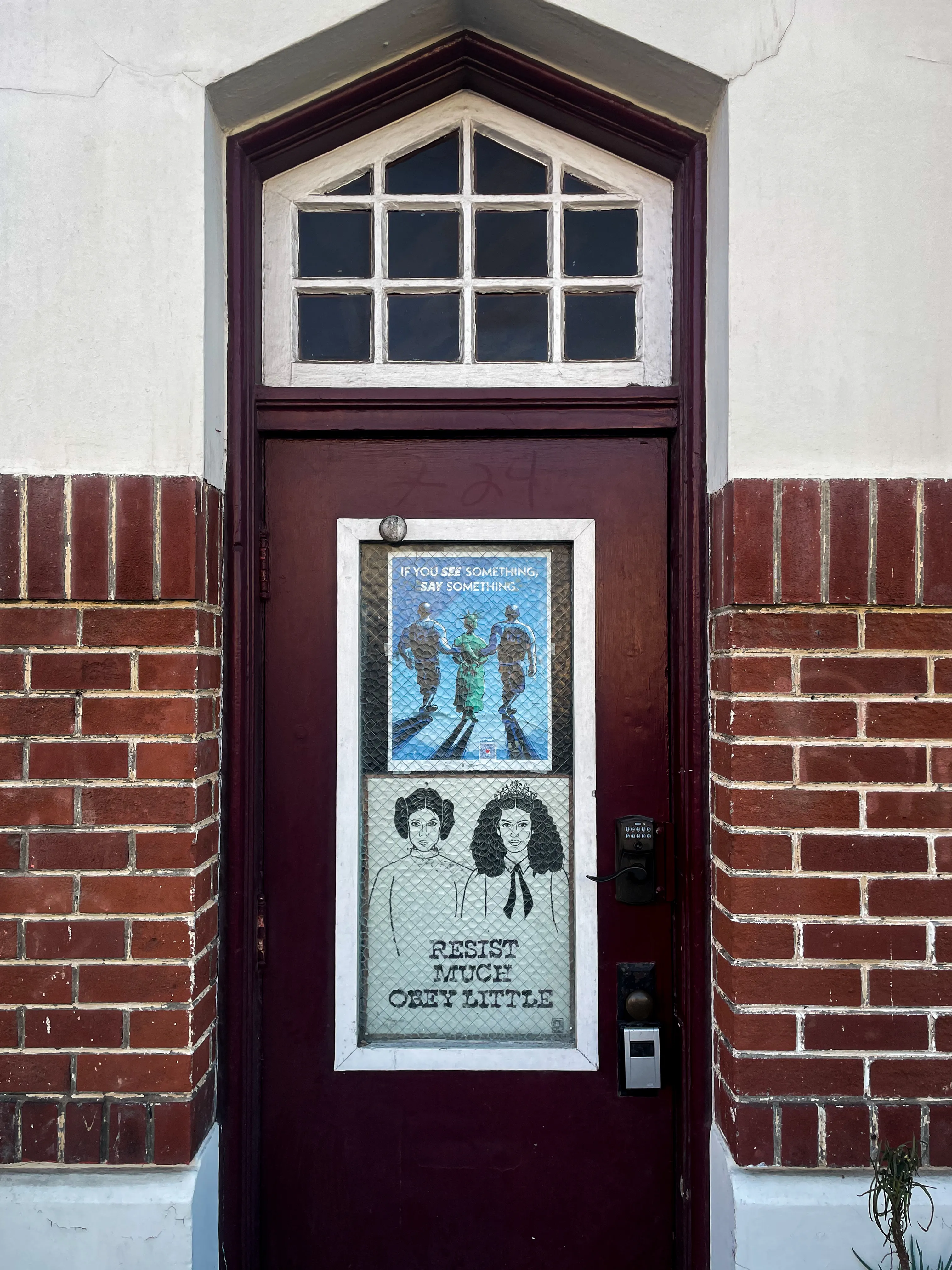 Resist Much Obey Little — Princess Mia and Princess Leia door mural