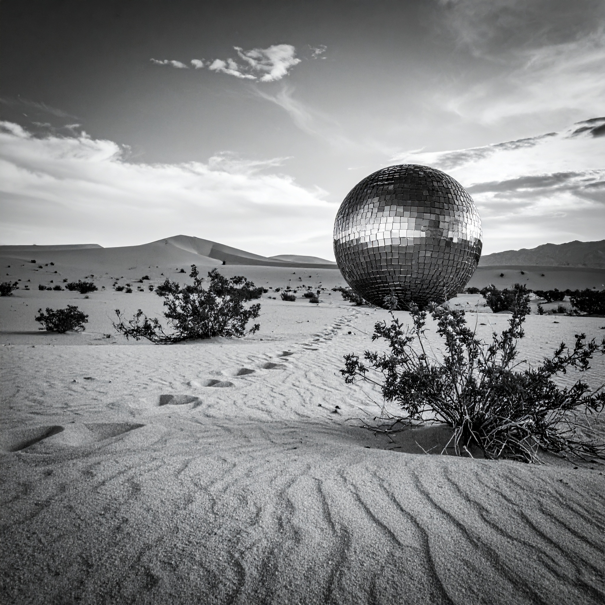 Teadrops Release Party